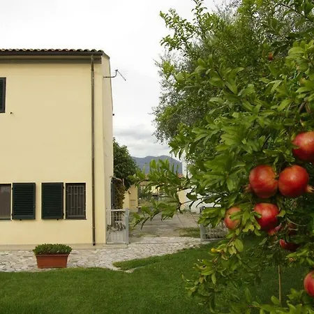 Il Giardino Di Otto *