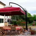 Il Giardino Di Otto * Кашина